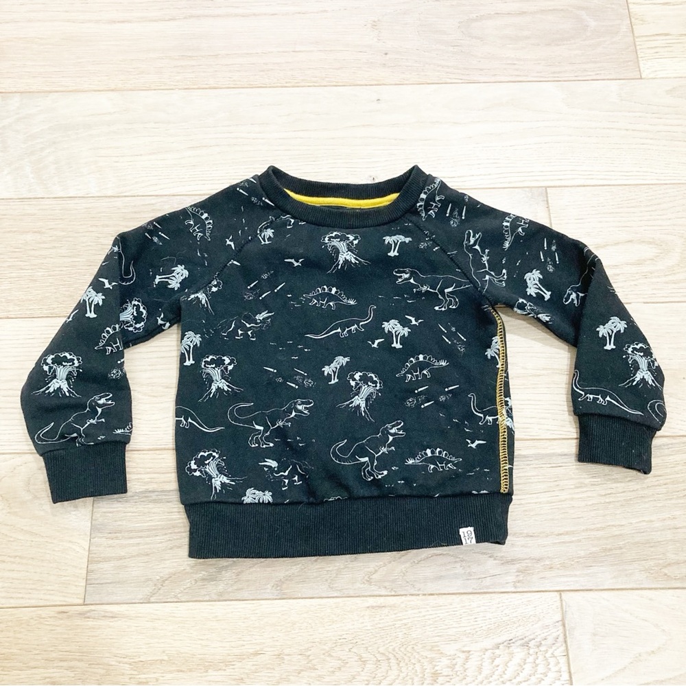 Sovereign Code Black Dinosaur Graphic Sweatshirt